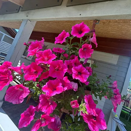 U Stolarza 別荘 Chłopy