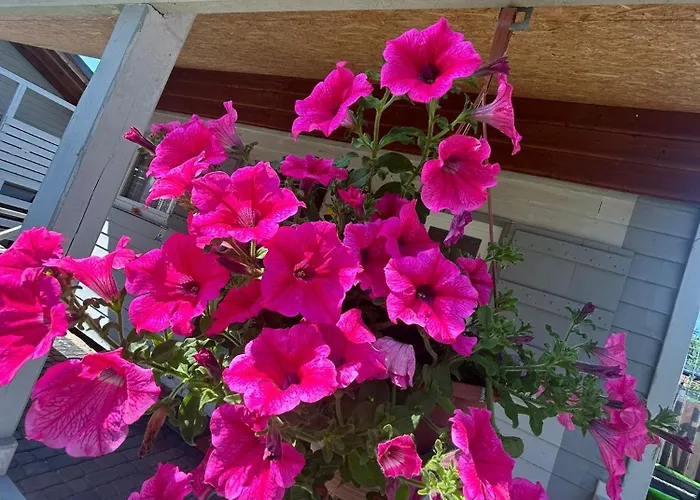 U Stolarza Vakantiehuis Chłopy